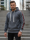 Grauer Herren-Kapuzenpullover Dstreet BX5938