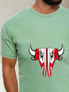Herren T-shirt Hellgrün Dstreet RX4930