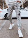 Herren Cargohosen Farbe Grau DSTREET UX4215