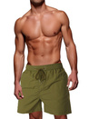 Herren-Badeshorts oliv Dstreet SX2470