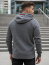 Grauer Herren-Kapuzenpullover Dstreet BX5942