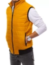 Herren Steppweste Dunkelgelb Dstreet TX4018