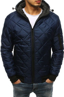 Herren Steppjacke Dunkelblau Dstreet TX2602