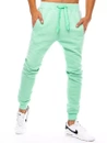 Herren Sporthose Minzegrün Dstreet UX3371