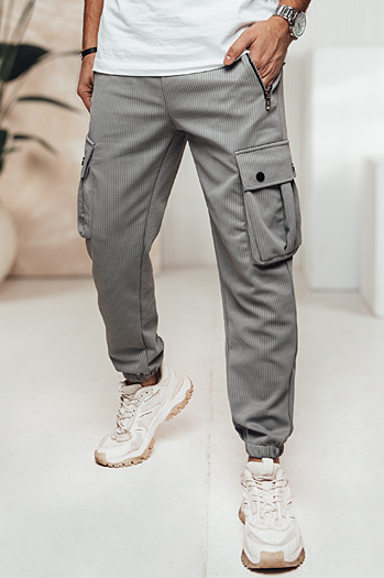 Herren Cargohose grau Dstreet UX4463