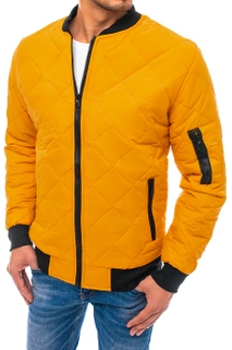 Herren Gesteppte Bomberjacke Camel Dstreet TX3817