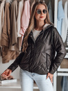 Damen Übergangs-Steppjacke mit Kapuze NIVESSO schwarz Dstreet TY4859