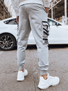 Herren Cargohosen Farbe Grau DSTREET UX4219