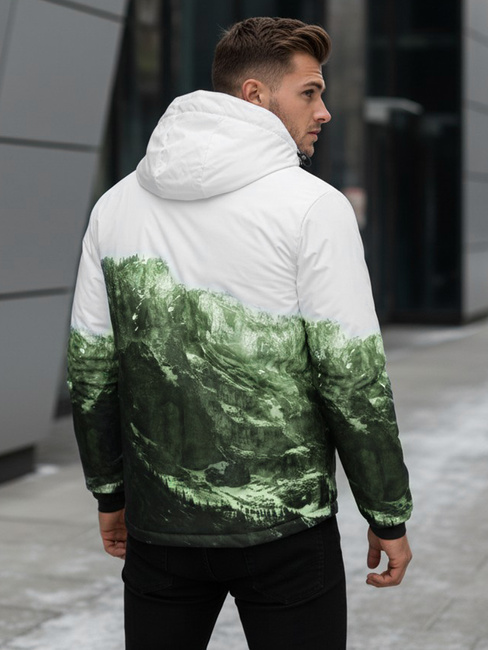 Herren Winter Skijacke grün Dstreet TX5126