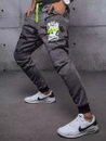 Herren Sporthose Anthrazit Dstreet UX3447