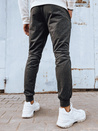 Herren Jogginghose Farbe Dunkelgrau DSTREET UX4279