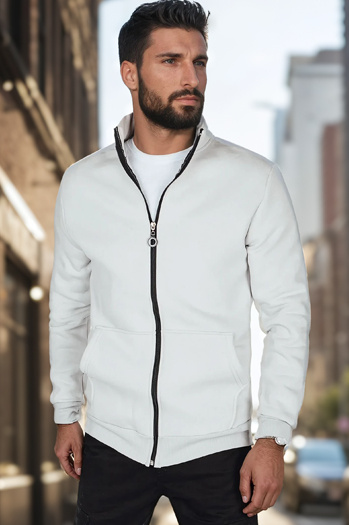 Herren Pullover Sweatshirt mit Stehkragen hellgrau Dstreet BX5874