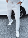 Graue Hose für Männer Dstreet UX4289