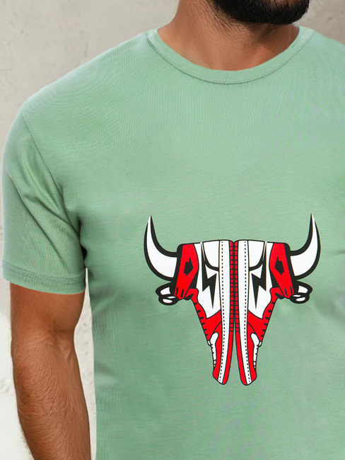 Herren T-shirt Hellgrün Dstreet RX4930
