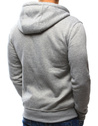 Herren Kapuzenpullover Hellgrau Dstreet BX2412