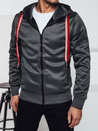 Herren Kapuzenpulli dunkelgrau Dstreet BX5859