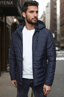 Herren Übergangsjacke mit Steppkapuze navy blau Dstreet TX5004