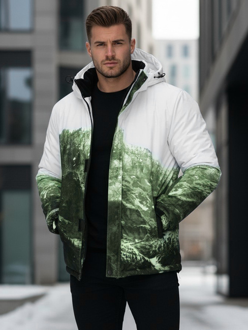 Herren Winter Skijacke grün Dstreet TX5126