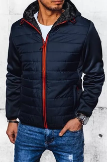 Herren Steppjacke Dunkelblau Dstreet TX4401