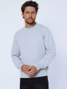Herren Sweatshirt Grau Dstreet BX5007