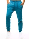 Herren Sporthose Türkis Dstreet UX3428