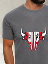 Herren T-shirt Graphite Dstreet RX4931