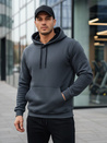 Herren Basic Hoodie dunkelgrau Dstreet BX5863