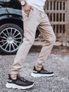 Joggerhose für Herren Beige Dstreet UX3306_1