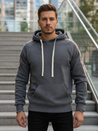 Grauer Herren-Kapuzenpullover Dstreet BX5945