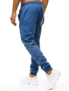 Herren Sporthose Blau Dstreet UX3427