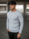 Herren grau Dstreet Longsleeve LX0578