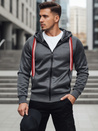 Herren Kapuzenpulli dunkelgrau Dstreet BX5859