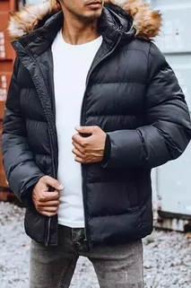 Herren Winter Steppjacke Dunkelblau Dstreet TX4161