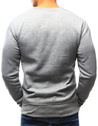 Herren Sweatshirt Grau Dstreet BX4822