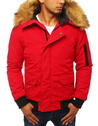 Herren Winterjacke Rot Dstreet TX2875_1