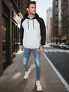 Herren Basic Hoodie hellgrau Dstreet BX5894_2