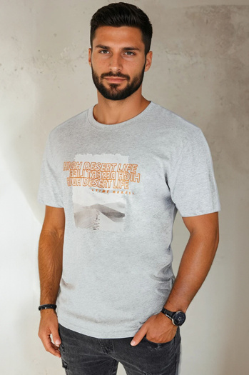 Herren T-shirt mit Aufdruck Farbe Grau DSTREET RX5488