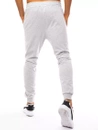 Herren Trainingshose Hellgrau Dstreet UX3245