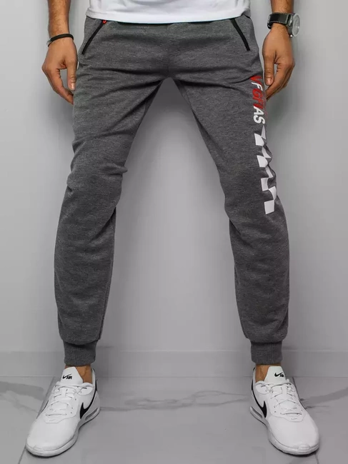 Herren Trainingshose Grau Dstreet UX3041