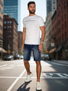 Herren-Shorts im Denim-Look blau Dstreet SX2355
