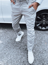 Dunkelgraue Chinohose für Herren Dstreet UX4340