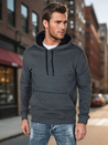 Herren Basic Hoodie dunkelgrau Dstreet BX5863