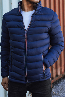 Herren Übergangs-Steppjacke navy blau TX4934