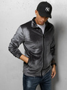 Herren Sweatshirt aus grauem Velours Dstreet BX5535