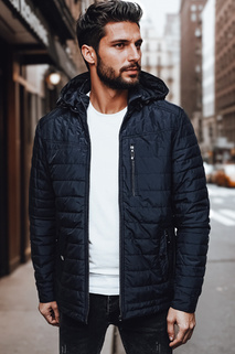 Herren Übergangs-Steppjacke mit Kapuze navy blau Dstreet TX4999