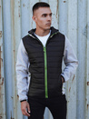 Herren Übergangs-Steppjacke mit Kapuze grau TX4862_1