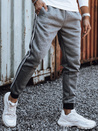 Anthrazitfarbene Herren-Sweatpants Dstreet UX4423