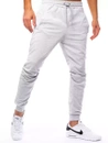 Herren Trainingshose Hellgrau Dstreet UX3245