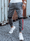 Herren Sweathose mit Kordelzug anthrazit UX4449
